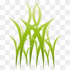 Clip Art, HD Png Download - grass plant png