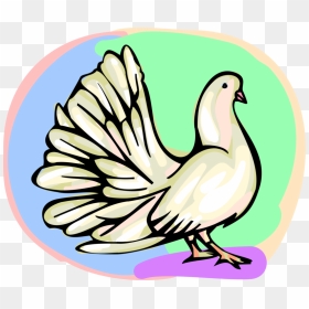 Vector Illustration Of White Dove Bird With Tail Feathers, HD Png Download - dove vector png