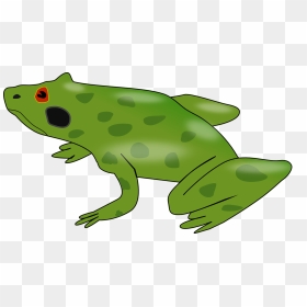 Frog - Clip Art, HD Png Download - wednesday frog png