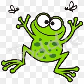 Bã©ka - Bufo, HD Png Download - wednesday frog png