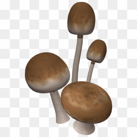 Brown Mushrooms - Mushroom 3d Png, Transparent Png - setas png