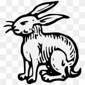 Clip Art, HD Png Download - rabbits png