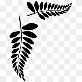 Leaf Vector Clipart , Png Download - Leaf Vector, Transparent Png - fern leaf png