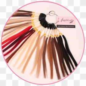 Hair Extensions Circle - Angel Locks Colours, HD Png Download - hair extensions png