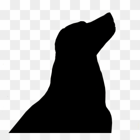 Silhouette Of A Black Lab , Png Download - Transparent Labrador Silhouette, Png Download - black lab png