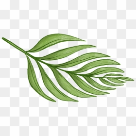 Never Not Knitting - Tropical Green Leaf Png, Transparent Png - fern leaf png