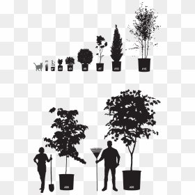Shrubbucket Container Sizes - Silhouette, HD Png Download - shrub silhouette png