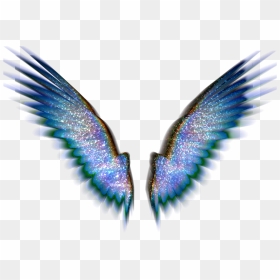 Papilio, HD Png Download - baby angel wings png