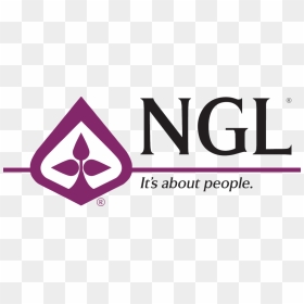 National Guardian Life Insurance Logo - Triangle, HD Png Download - life insurance png