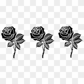 Black Rose Aesthetic Transparent, HD Png Download - gothic rose png