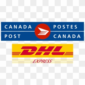 No-title - Dhl Global Forwarding, HD Png Download - obey snapback png