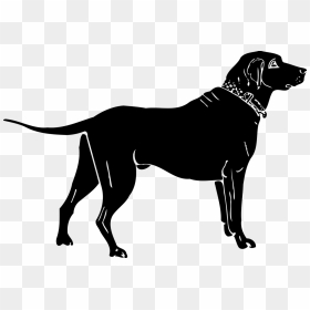 Labrador Retriever Puppy Silhouette Pet Clip Art - Dog Whith Collar Silhoette, HD Png Download - black lab png