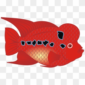 Gold Fish Svg Clip Arts - Flower Horn Fish Clipart, HD Png Download - fish clip art png