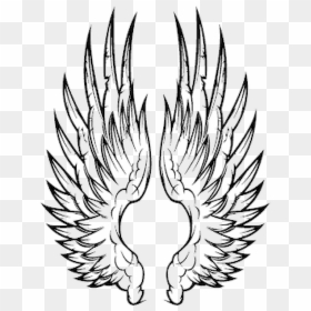 Vector Wings, HD Png Download - baby angel wings png