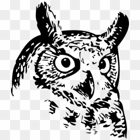 Owl,art,monochrome Photography - Great Horned Owl Black And White Drawing, HD Png Download - owl clip art png