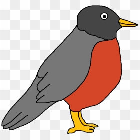Robin Clipart - - Robin Bird Clip Art, HD Png Download - red robin logo png