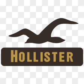 Transparent Aeropostale Png - Hollister Logo Vector, Png Download - vhv