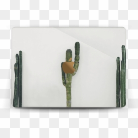 Transparent Cactus Mexicano Png - Macbook Pro 13-inch, Png Download - mexican cactus png