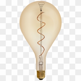 Incandescent Light Bulb, HD Png Download - edison bulb png