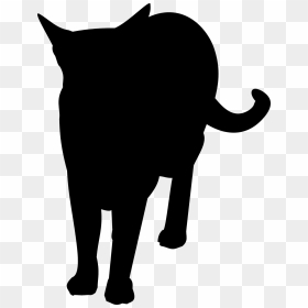 Feel Free To Use This Cat Silhouette For Your Own Projects - Domestic Short-haired Cat, HD Png Download - black cat silhouette png