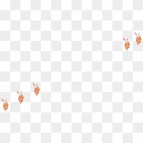 Fire - Insect, HD Png Download - white fire png