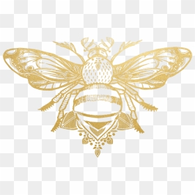 Emblem, HD Png Download - dreadlock png