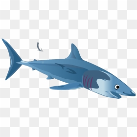 Blue Shark Svg Clip Arts - 2 Shark Clipart, HD Png Download - shark clipart png
