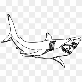 Hammerhead Shark Template Free Download Clip Art With - Great White Shark Clipart Black And White, HD Png Download - shark clipart png