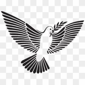 The Dove And Olive Branch Png - Transparent Dove Olive Branch Png, Png Download - dove with olive branch png