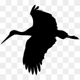 Flying Stork Stork Icon, HD Png Download - soccer player silhouette png