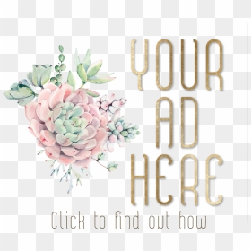 Pink Echeveria Light Green - White Mexican Rose, HD Png Download - society6 logo png
