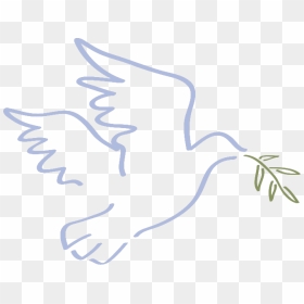 Dove - Dove With Olive Png, Transparent Png - dove with olive branch png