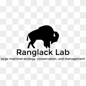 Ranglack Lab Logo Black Hires Format=1500w , Png Download - Simplex, Transparent Png - black lab png