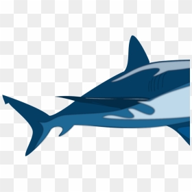 Shark Snow Cone, HD Png Download - shark clipart png
