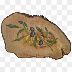 Gooseberry, HD Png Download - dove with olive branch png