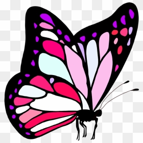Please Feel My Love, HD Png Download - cute butterfly png