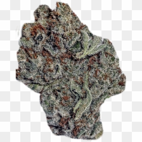 Wifiunderdawg - Wool, HD Png Download - white fire png