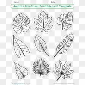 Geography & Animals - Printable Rainforest Animal Templates, HD Png Download - forest animals png