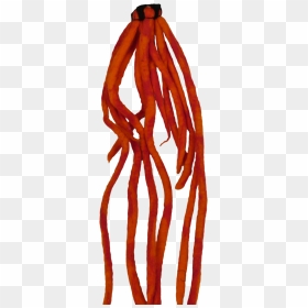 Octopus, HD Png Download - dreadlock png