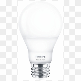 Compact Fluorescent Lamp, HD Png Download - edison bulb png