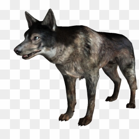 Dogmeat Fallout 3 , Png Download - Angry Fallout 3 Dog, Transparent Png - dogmeat png