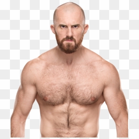 Oney Lorcan Png, Transparent Png - johnny gargano png