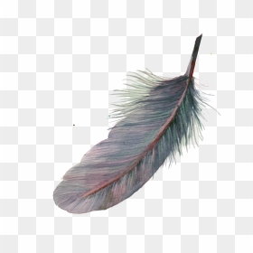 Feather Watercolor Painting Pixel - Feather Watercolor Png, Transparent Png - watercolor feather png