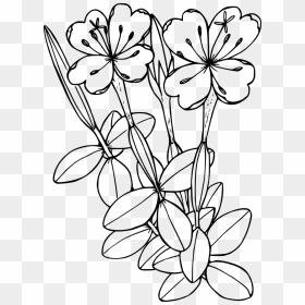 Flower In Pitcher Drawing, HD Png Download - flower shape png