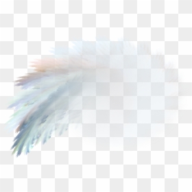 Fractale Png, Transparent Png - watercolor feather png