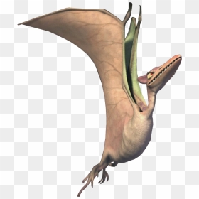Transparent Sid The Sloth Png - Ice Age 3 Roger, Png Download - ice age png