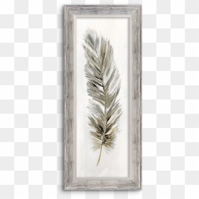 Picture Frame, HD Png Download - watercolor feather png