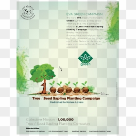 Eva Green - //evagreenindia - Org/ - Tree Planting - Creative Green Campaign, HD Png Download - eva green png