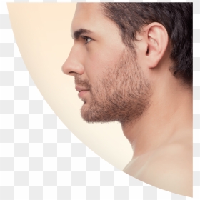 Perfect Male Nose Side Profile Clipart , Png Download - Perfect Male Nose Profile, Transparent Png - male angel png