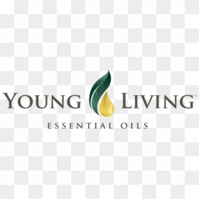 Young Living, HD Png Download - young living png